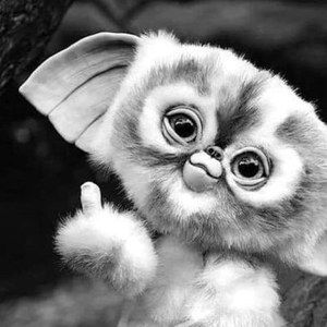 Meet your Posher, Donelda